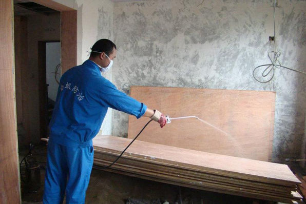 既有房屋白蚁灭治