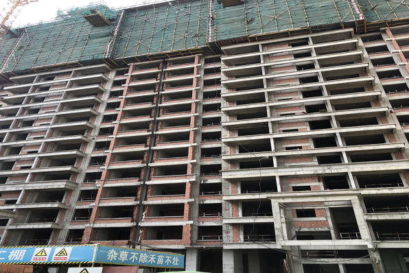 新建房屋白蚁预防